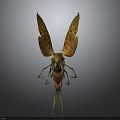 Brown And Gold Cicada With Patterned Wings Detailed Model Standing Pose 3d model