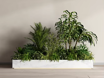 Modern Plant Combination Flower Box Bonsai Plant 3d model