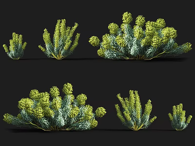 Various Green Flowering Plants With Yellow Flower Buds And Leafy Branches In Different Sizes 3d model