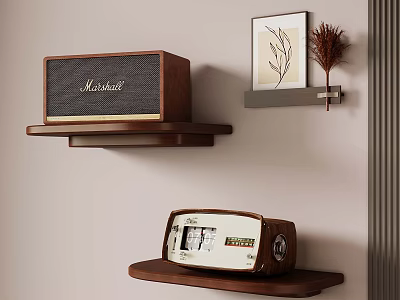 Marshall Speaker And Vintage Radio On Wooden Shelves With Wall Decor And Dried Plants 3d model