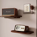 Marshall Speaker And Vintage Radio On Wooden Shelves With Wall Decor And Dried Plants