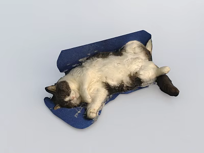 Small Reptile Resting Comfortably On Blue Mat With Relaxed Posture 3d model