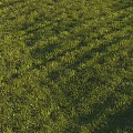 Lush Well Trimmed Green Grass Lawn With Striped Patterns Under Bright Sunlight