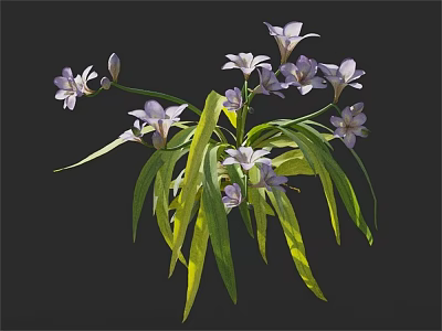 Purple And White Flowers With Long Green Leaves In Floral Bunch 3d model