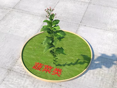 Fresh Green Vegetable Plant Growing In Round Grass Patch On Concrete Ground 3d model