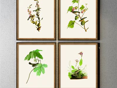 Four Framed Botanical Paintings with Detailed Plant Illustrations as Wall Art Decor 3d model