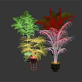 Various Types of Green Leafy Indoor Plants in Black Pots on Stands with Gray Background