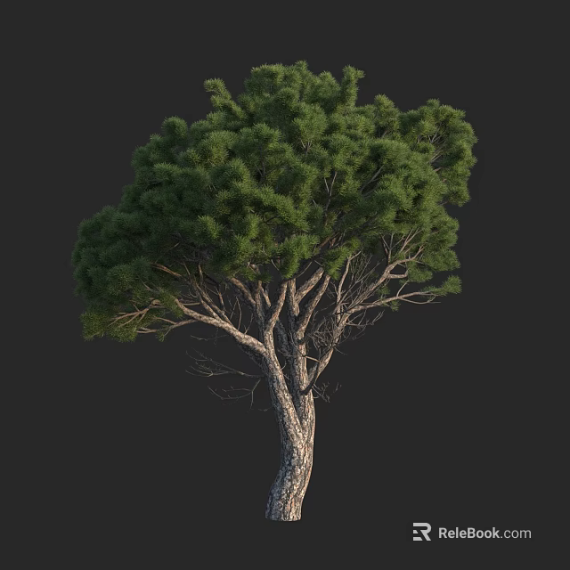Lush Green Arbor With Dense Foliage And Textured Trunk Natural Look 3d model 