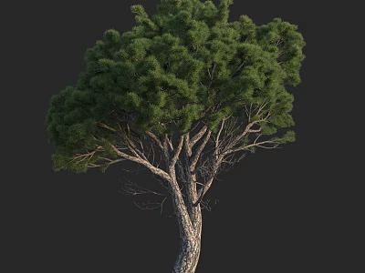 Lush Green Arbor With Dense Foliage And Textured Trunk Natural Look 3d model