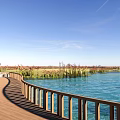Scenic Park Landscape With Clear Water Swans Wooden Pier Hot Air Balloons Reeds And Pavilion