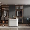 Modern Walk-in Closet with Dark Cabinets Hanging Clothes White Island Counter and Rug