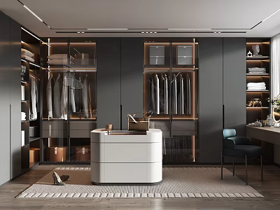 Modern Walk-in Closet with Dark Cabinets Hanging Clothes White Island Counter and Rug 3d model