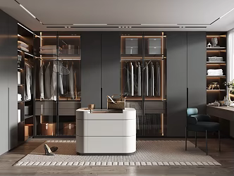 Light Luxury Cloakroom 3d model