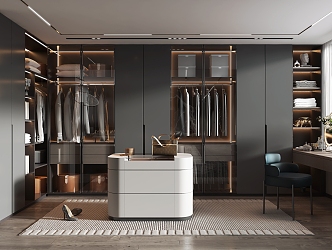 Light Luxury Cloakroom 3d model