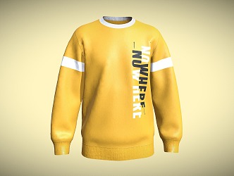 Modern Clothes Sweatshirt 3d model