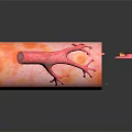 Innovative Medical Device Showing Vascular Structure With Internal Red Spheres And External Hand Like Appendages