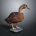 Duck Taxidermy Mounted on Patina Stone Base with Dark Background
