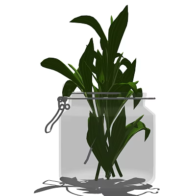 Clear Glass Vase With Lush Green Leafy Plants And Metal Clamp Accent 3d model