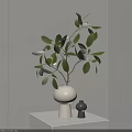 White Vase With Green Leafy Plant And Small Black Decor On White Stand
