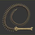 Unique Bone Spiral Weapon Featuring Intricate Skeletal Coils And Curved Design