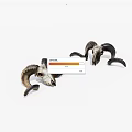 Two Sheep Skulls With Curved Horns Displayed On White Background
