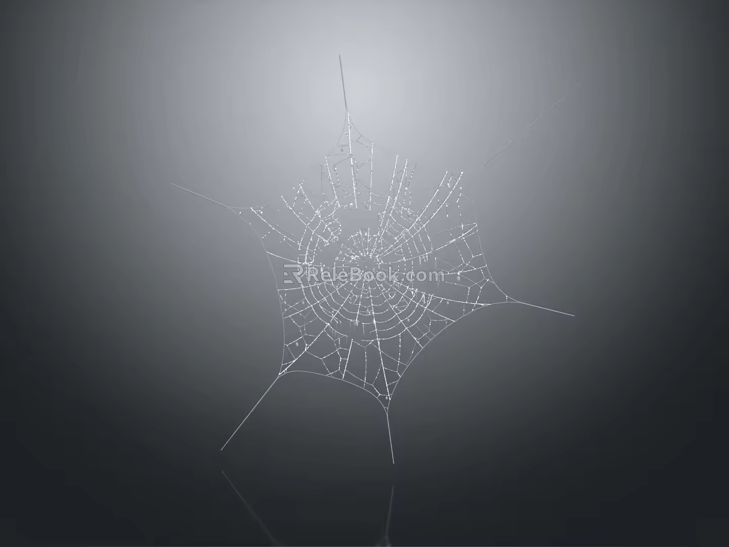 Modern Spider Web Items 3d model