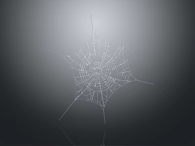 Reptile Related Spider Web With Clear Structure On Gray Reflective Background 3d model Reptile Related Spider Web With Clear Structure On Gray Reflective Background 3d model