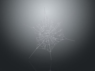 Modern Spider Web Items 3d model