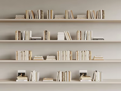 Light Colored Bookshelves With Neatly Arranged Books And Magazines Rows On Shelves 3d model