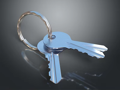 Silver Metal Keychain With Two Keys On Black Smooth Surface And Reflection 3d model
