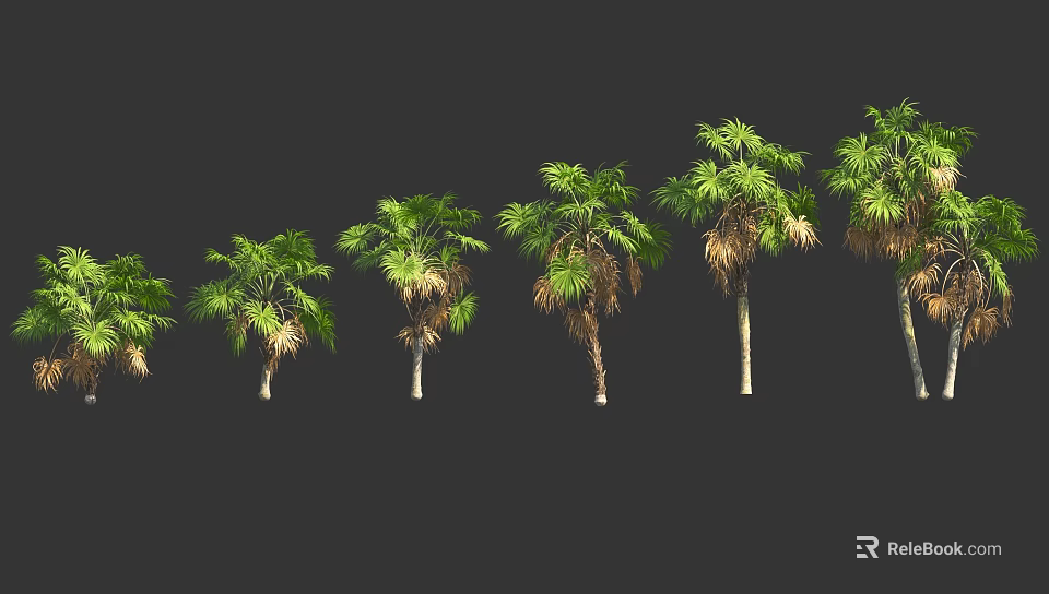 Row of Various Palm Trees with Green and Brown Leaves on Dark Background 3d model 