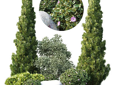 Tall Cypress Trees With Pink Flowers Stone And Lush Green Shrubs 3d model