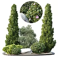 Tall Cypress Trees With Pink Flowers Stone And Lush Green Shrubs