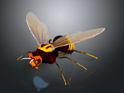 Yellow And Black Striped Insect With Transparent Wings Orange Head And Yellow Legs 3d model