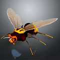 Yellow And Black Striped Insect With Transparent Wings Orange Head And Yellow Legs