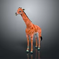 Detailed Orange Giraffe Model Standing On Dark Background With Black Mane 3d model