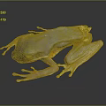 Blue Frog With Transparent Limbs On Black Background Showing Reflection 3d model
