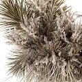Vase Floral Arrangement with Dried Branches and Natural Tones for Home Decor