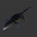 3D Crocodile Model With Open Mouth Shiny Dark Skin Lying On Dark Surface
