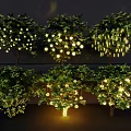 Illuminated Decorative Lights On Green Trees With Festive Hanging String Lights