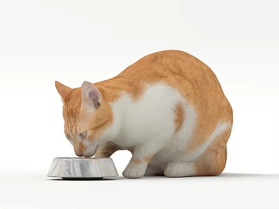 The Modern Cat 3d model