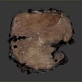 Natural Wooden Stump Featuring Rich Grain Texture And Polished Surface Design