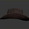 Stylish Brown Patterned Cowboy Hat With Leather Band For Everyday Use 3d model