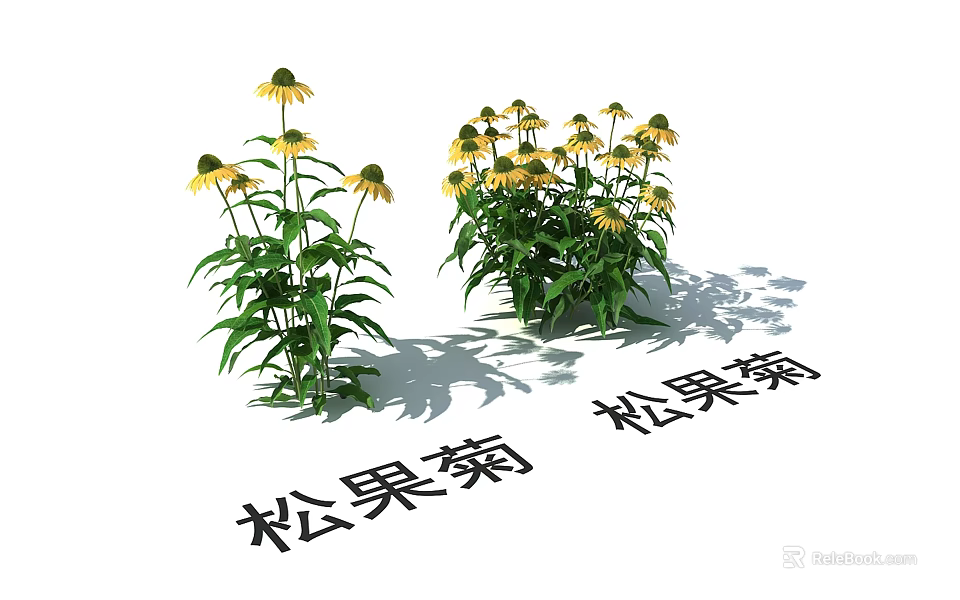 Lush Yellow Coneflowers With Green Leaves Growing In Two Clusters 3d model 