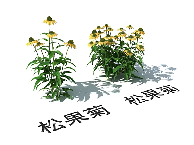 Lush Yellow Coneflowers With Green Leaves Growing In Two Clusters 3d model