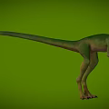 Bird-like Dragon Hunting Dragon Velociraptor Chinese Dragon Bird Microraptor Dinosaur Jurassic Low Face Number Low Model Simple Model Game Movie Level Super Realistic 3d model