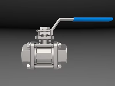 Stainless Steel Bathroom Ball Valve With Blue Handle For Home Use 3d model