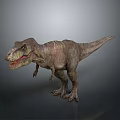 Realistic Tyrannosaurus Rex Dinosaur Model With Open Mouth Sharp Teeth And Muscular Texture