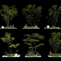 Natural Plant Combinations With Small Trees Green Foliage Stones Moss And Landscape Decor