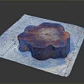Natural Wooden Stump Displaying Tree Ring Texture On Stone Slab Surface